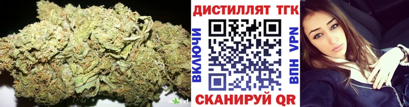 где можно купить   Елизово  Дистиллят ТГК концентрат 