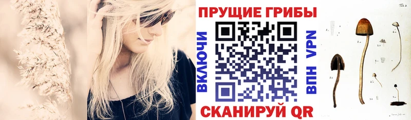 Псилоцибиновые грибы GOLDEN TEACHER  закладки  Елизово 