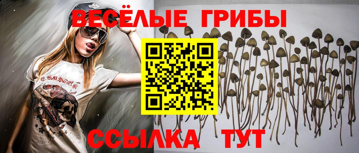 Галлюциногенные грибы мицелий Елизово