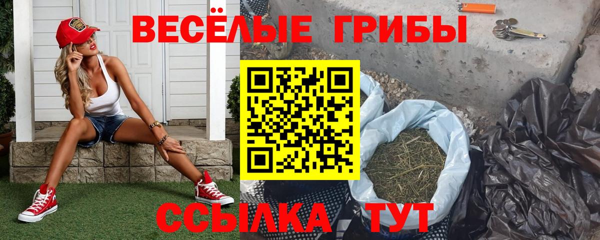 Псилоцибиновые грибы Psilocybine cubensis  Вход с VPN  Галлюциногенные грибы мицелий  Елизово 